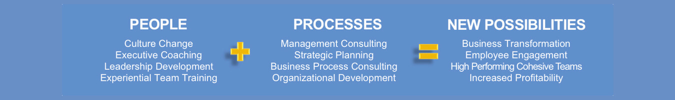 Metaspire Consulting - Business Transformation Specialists
