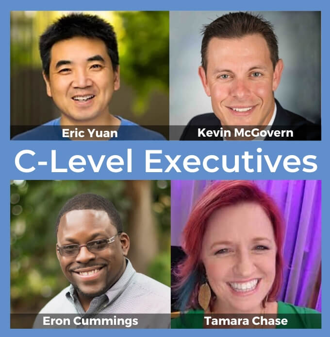 C-Level Executive